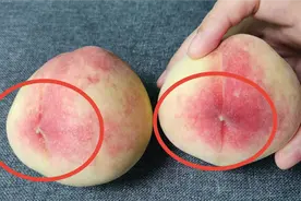 原来挑选桃子是看这里，又甜又多汁，老果农的方法果然管用