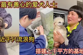 全网最有善心的爱犬人士！收养近千只流浪狗！搭建上千平方的基地视频封面