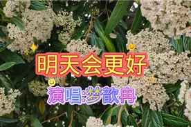 一首《明天会更好》完整版演唱:梦歆冉，让我们期待明天会更好视频封面