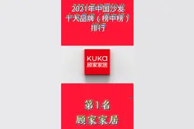#2021年中国沙发十大品牌（榜中榜）排行 #品牌就是力量 #信誉视频封面