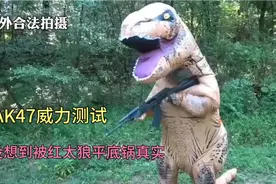 AK47威力测试，没想到被红太狼平底锅真实。视频封面