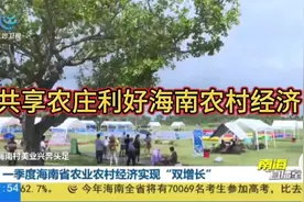 共享农庄利好海南农村经济视频封面