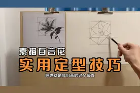 素描百合花教程（一）素描如何把外形画得像？