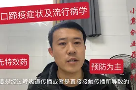 口蹄疫症状及流行特点是什么？发病后该怎么办？无特效药预防为主视频封面