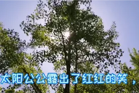 太阳公公露出了红红的笑脸视频封面