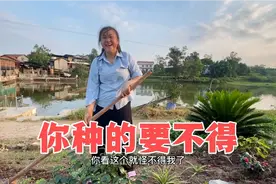 小慧回家第一件事就是种花花草草，倩倩心疼她想要分担却遭到嫌弃视频封面