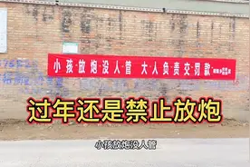 河南今年还是禁止放炮，怀念小时候过年，现在越来越没年味了视频封面