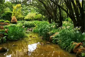 《来生缘》情深缘浅不得已，你我也知道去珍惜，只好等在来生里视频封面
