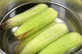煮玉米怎么煮才好吃呢？教你妙招，煮出来的玉米又香又软糯
