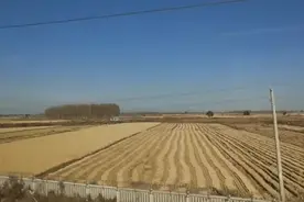 坐着火车看吉林深秋在长春到白城的火车上看农安松原白城金色田野视频封面