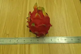 今天深圳中考结束，身边的中考生考完后都在做什么？你家的呢