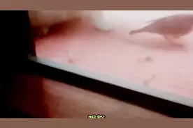 小鸟：这牛我能吹一辈子！视频封面