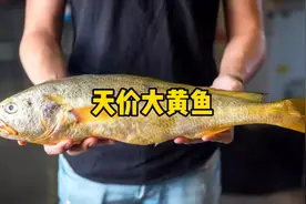 天价大黄鱼，曾经只卖几毛钱！发生了什么？视频封面