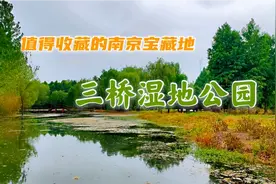 南京雨花台区藏着个小众宝藏景点，江边原生态湿地，我直呼太美了视频封面
