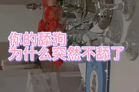 你的舔狗，突然他就不舔了，为什么。视频封面