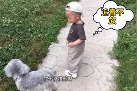 1岁多的宝宝公园玩，看见宠物狗很好奇，穷追不舍的样子太逗啦视频封面