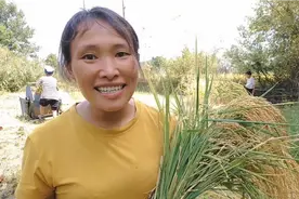 给别人的短视频点赞评论也能挣零花钱了。@DOU+小助手 #全民任务视频封面