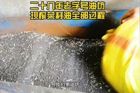现榨出来的油是毛油，需要加盐水水化-过滤-精炼-沉淀-罐装。视频封面