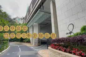 香港山顶施勋道8号倚峦山庄是新鸿基开发，漫画家马荣成住在这里视频封面
