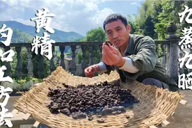 九蒸九晒的黄精加工方法，加工的工序复杂，成品软糯香甜很美味视频封面