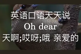 Oh dear 天啊；哎呀；哦 亲爱的#英语口语天天说@大山英语Sam
