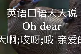 Oh dear 天啊；哎呀；哦 亲爱的#英语口语天天说@大山英语Sam