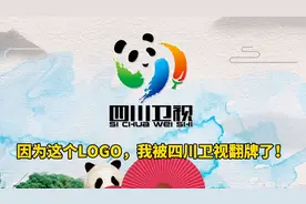 因为这个logo，我被四川卫视翻牌了！视频封面
