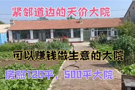 东北道边农村大院可以赚钱做生意，天价房子手续齐全120平500平院视频封面