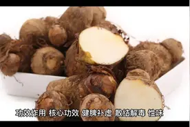芋头的功效与作用视频封面