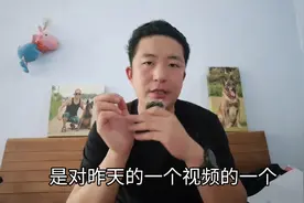 128-6点补充127期吐槽灵缇人畜无害视频封面
