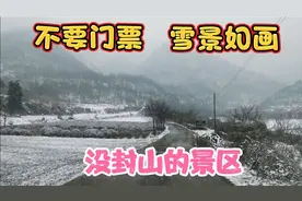 西安这个峪口没封山，车可直接开上山，不要门票雪景如画视频封面