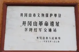 朱毛井冈山胜利会师，中国工农革命军第四军正式成立。视频封面