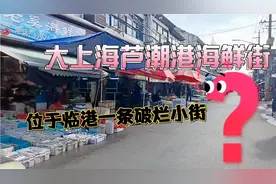 离东海很近的临港芦潮港，有一条闻名上海的海鲜街，看看有啥？视频封面