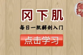 【每日一肌】冈下肌——肩袖肌群第二块肌肉，有穴位疼痛很特别！
