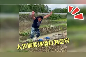 搞笑视频：我怎么就掉下去了呢？人类迷惑行为鉴赏