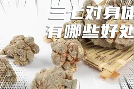 长期吃三七粉，身体不容易出现血栓，但有些人却不能吃，你了解吗视频封面