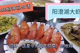 小玳姐莲花岛农家乐吃阳澄湖大虾走地鸡，雨中探访大闸蟹养殖基地视频封面