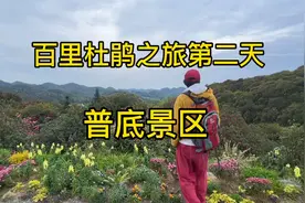 2022年真实的百里杜鹃是什么样？跟着我来一次深度之旅，当作攻略