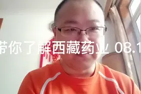 独一无二 一口气3分钟带你了解西藏药业 08.18.2022 基本面分析视频封面