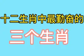 十二生肖中，最勤奋的三个生肖，你知道是哪几个生肖