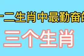 十二生肖中，最勤奋的三个生肖，你知道是哪几个生肖视频封面