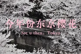 2022年份 东京之樱花 满开 满落视频封面