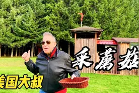 72岁美国大叔状态像56岁，去树林采蘑菇，做有机餐，难怪身体好！视频封面