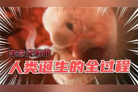 3分钟了解生命诞生的全过程，从受精到出生，母爱伟大！
