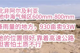 北非阿尔及利亚地中海气候区，农业用地930亩卖93w，1000/亩/99年视频封面