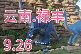 帮宝爸办理身份证，结果得30天后才能拿，刚好参加朋友婚礼，忙碌视频封面