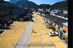 花了7个小时做图文转换，还没捣鼓好。啥原因呢？视频封面