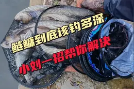 鲢鳙到底钓多深？明白这一点轻松搞定，在哪都适应！视频封面
