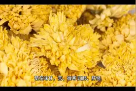 菊花枸杞茶的功效与作用！视频封面