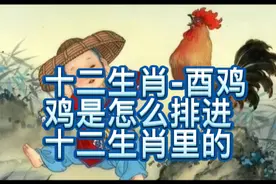 十二生肖之酉鸡，鸡排进十二生肖的来历故事，属鸡是哪年出生的！视频封面